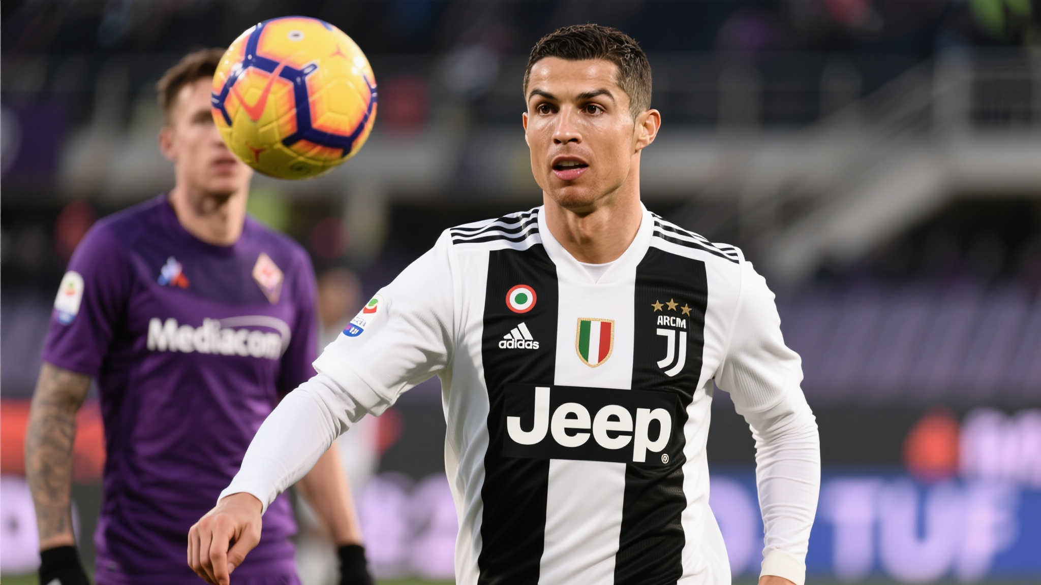 熊猫体育概况简介